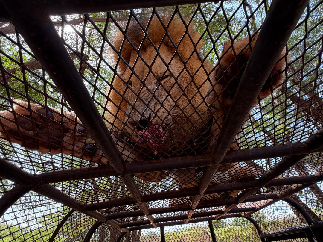 Malick Travel Senegal-Ponto必去景点