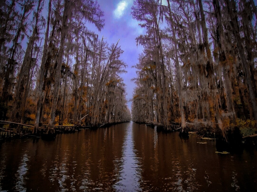 Mossy Brake Camp Swamp Tours-Karnack必去景点