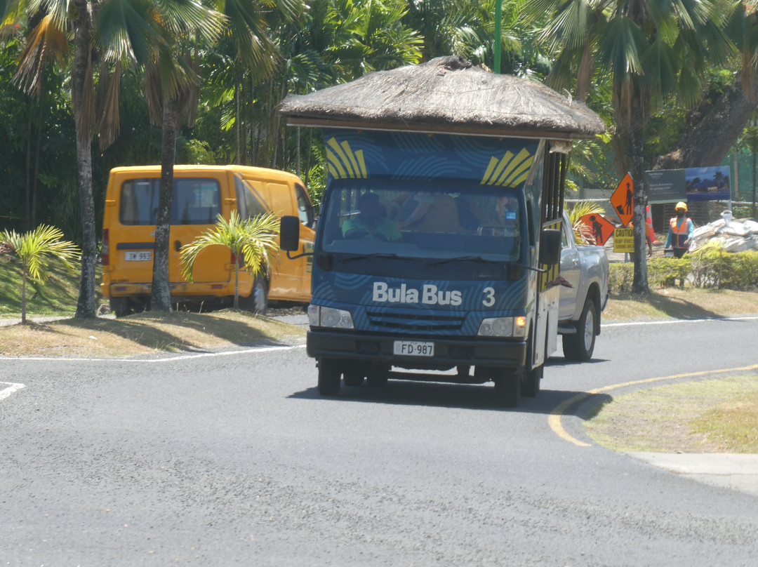 Bula Bus-丹娜努岛必去景点