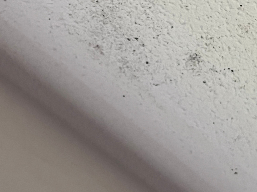 普瑞米尔格兰露斯酒店主图