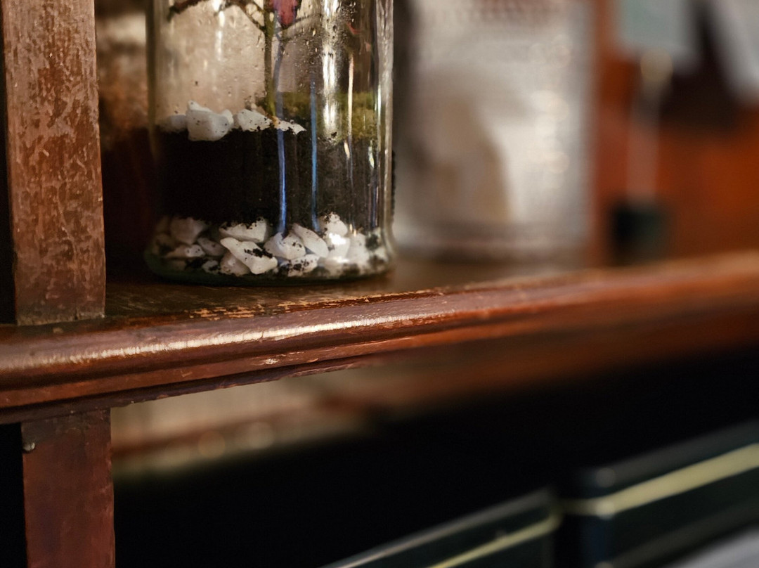 Lejondals Slott主图