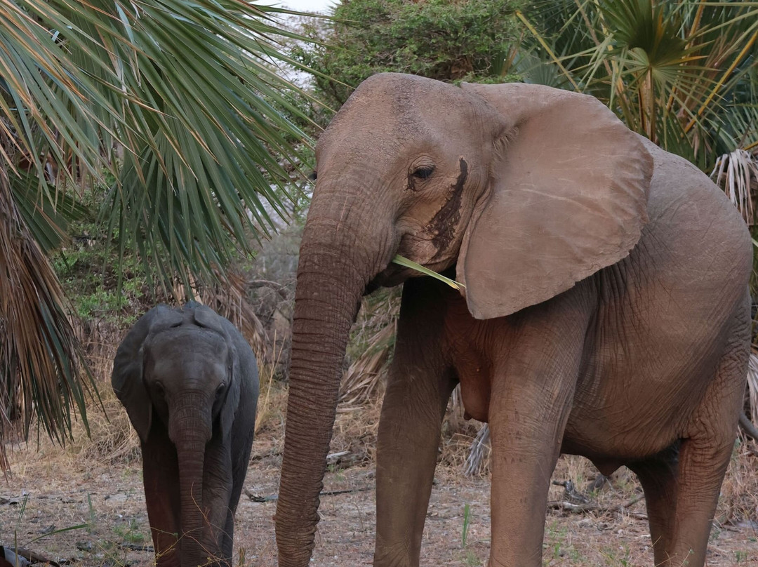 Msafiri Travels-Dar es Salaam必去景点