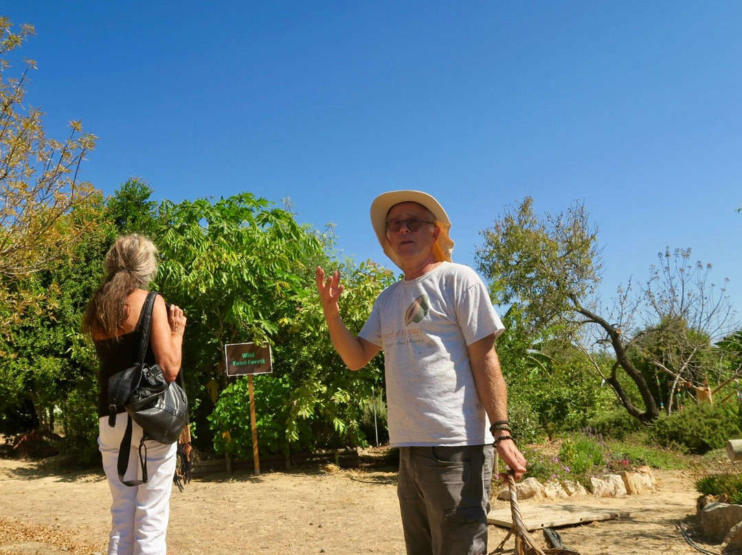Orchard Of Flavours Botanical Garden-Luz de Tavira必去景点