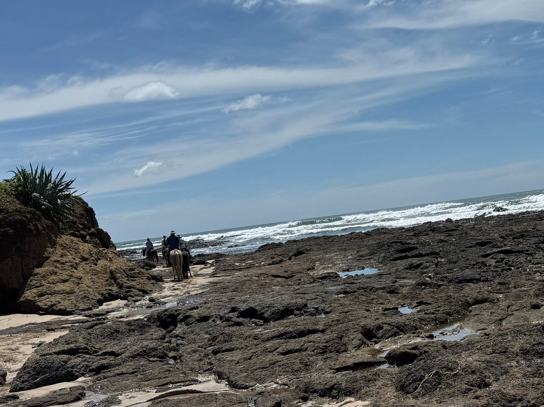 Guti Tours-Playa Avellanas必去景点