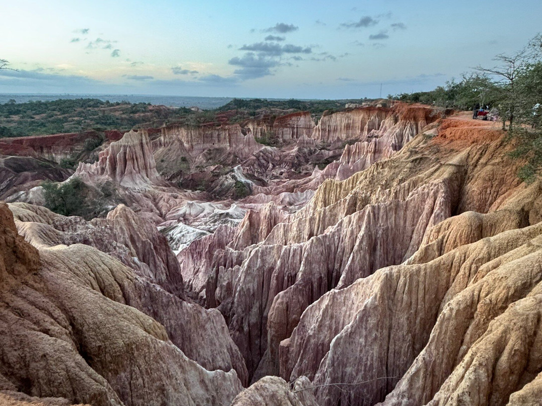 SavanaBeat - Safari & Tour in Kenya-瓦塔木必去景点