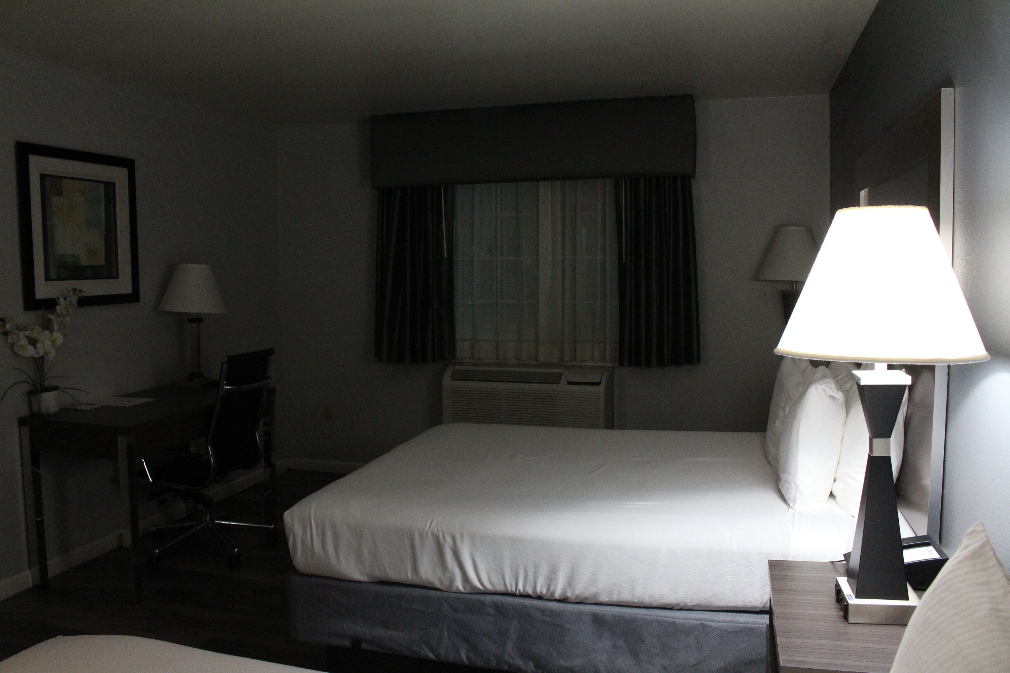 Best Western Americana-客卧