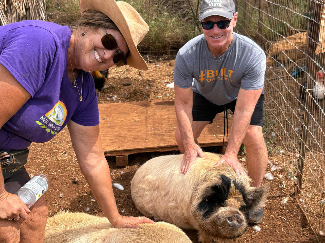 Maui Animal Farm-拉海纳必去景点