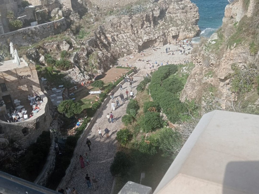 Ponte Borbonico di Lama Monachile-波利尼亚诺阿马雷必去景点