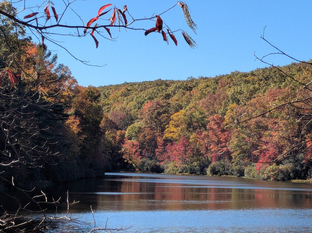 Babcock State Park-Clifftop必去景点