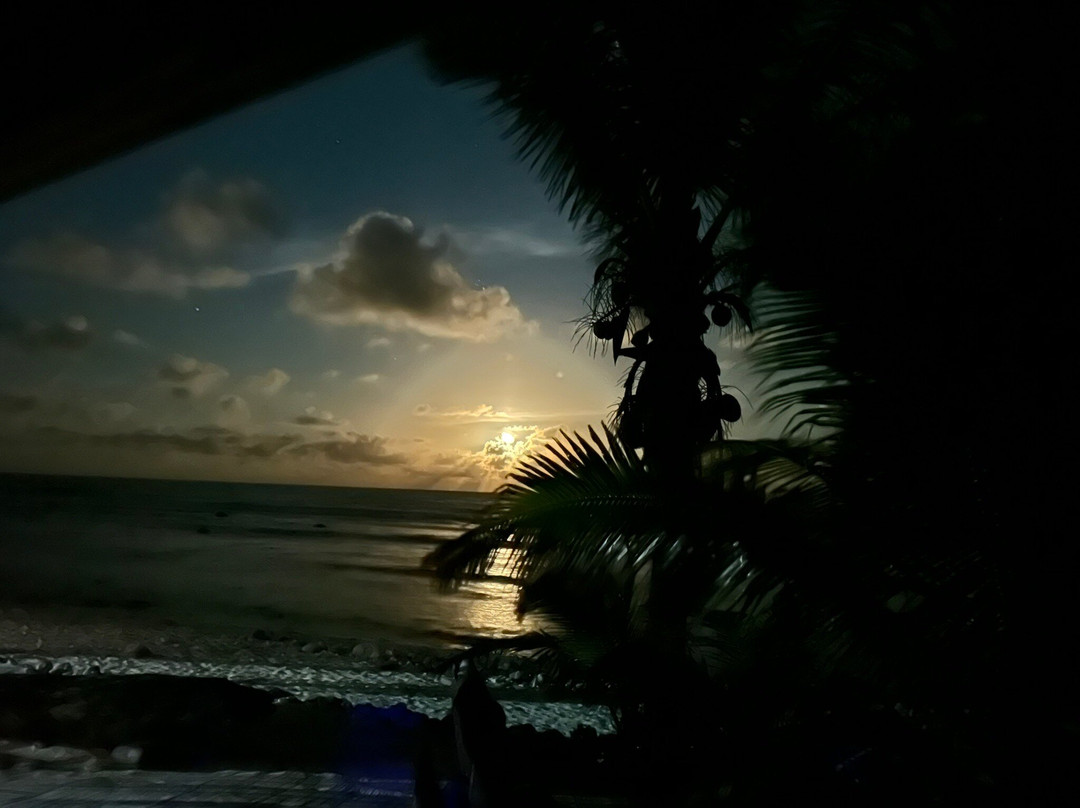 Ocean Escape Resort & Spa主图