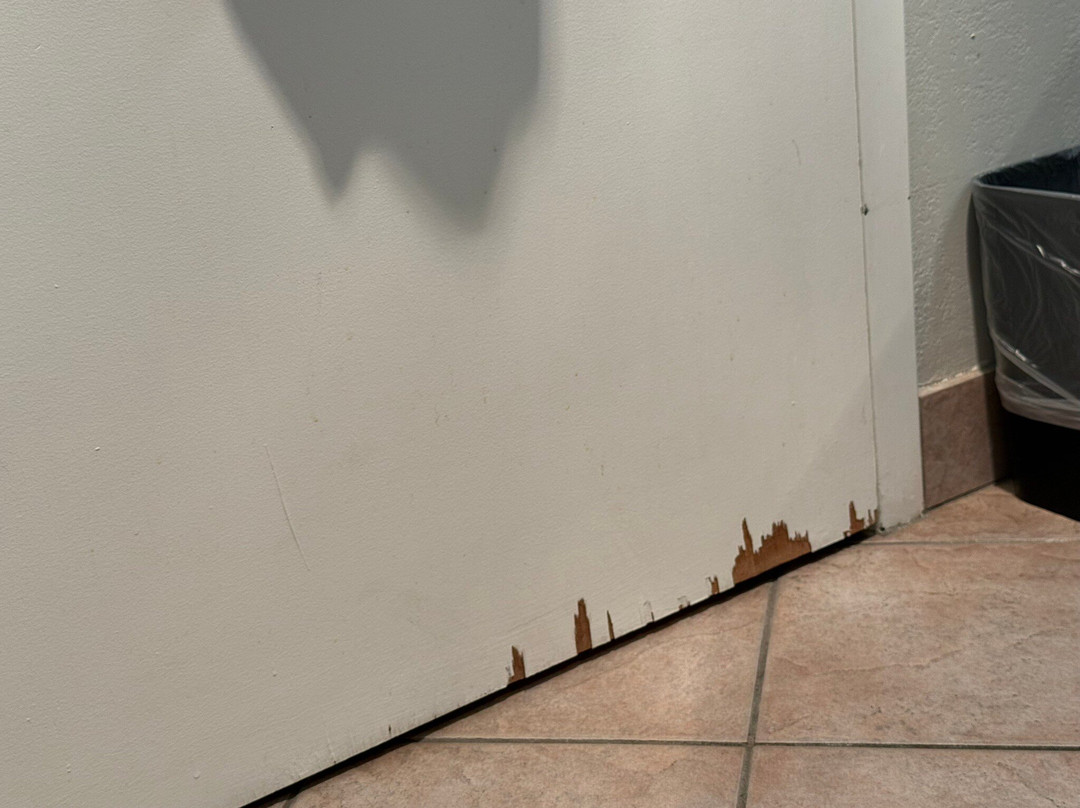 Days Inn & Suites by Wyndham Moncton主图