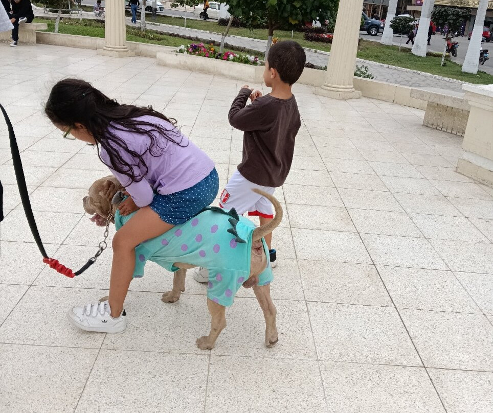 Paseo de las Musas-奇克拉约必去景点