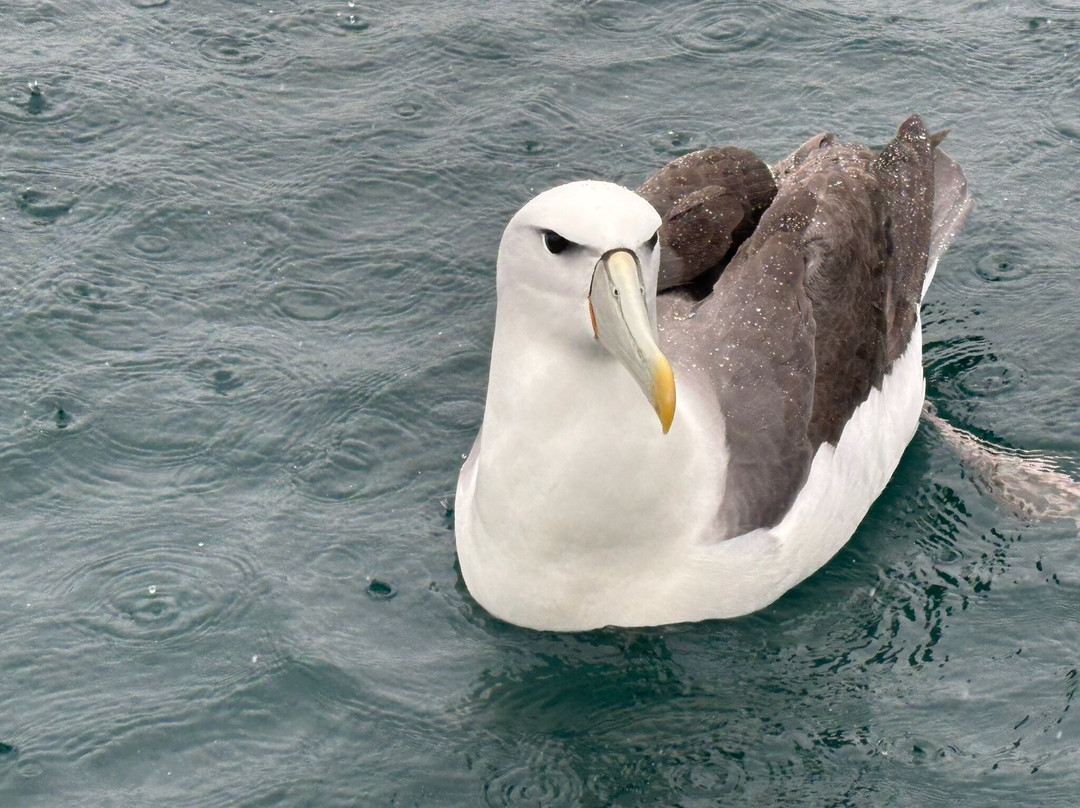 Ruggedy Range Wilderness Experience-斯图尔特岛必去景点