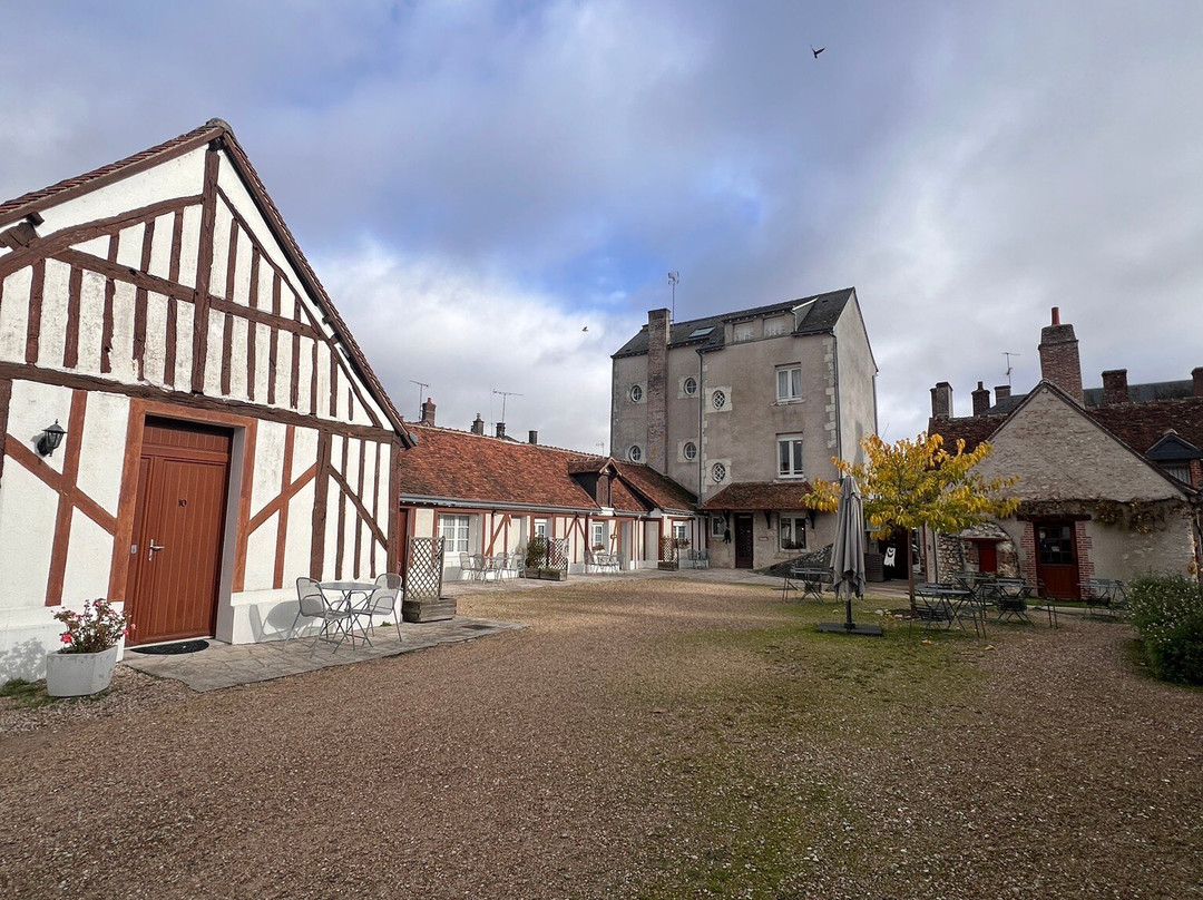 Logis Hôtel du Cygne主图