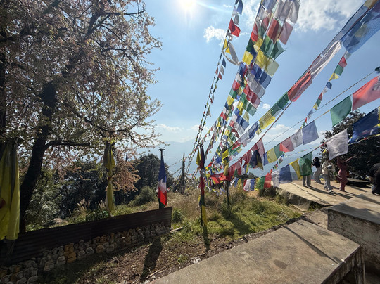 Bold Himalaya Treks and Travels Pvt Ltd-加德满都必去景点