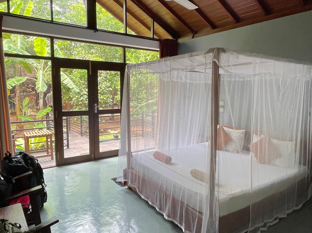 Mango Tree House主图