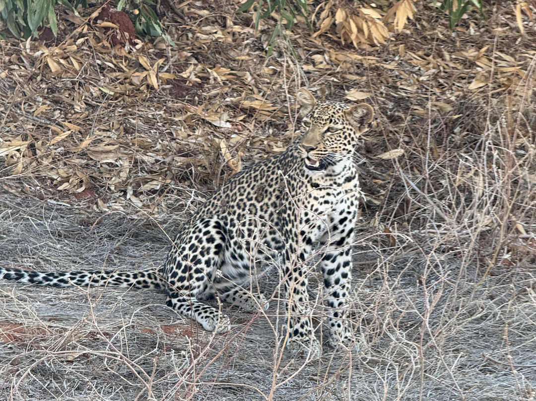 Dida Tours and Safaris-山祖必去景点