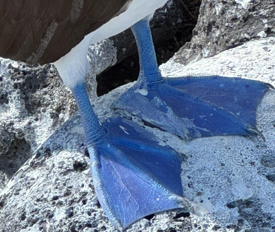 Ecuador Wonders Tour Operator-基多必去景点