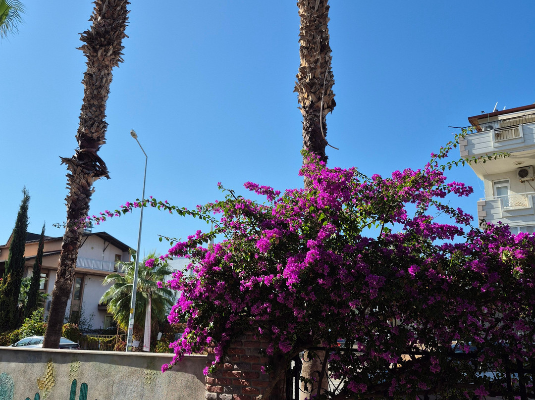 哈德良长城-卡莱尔必去景点