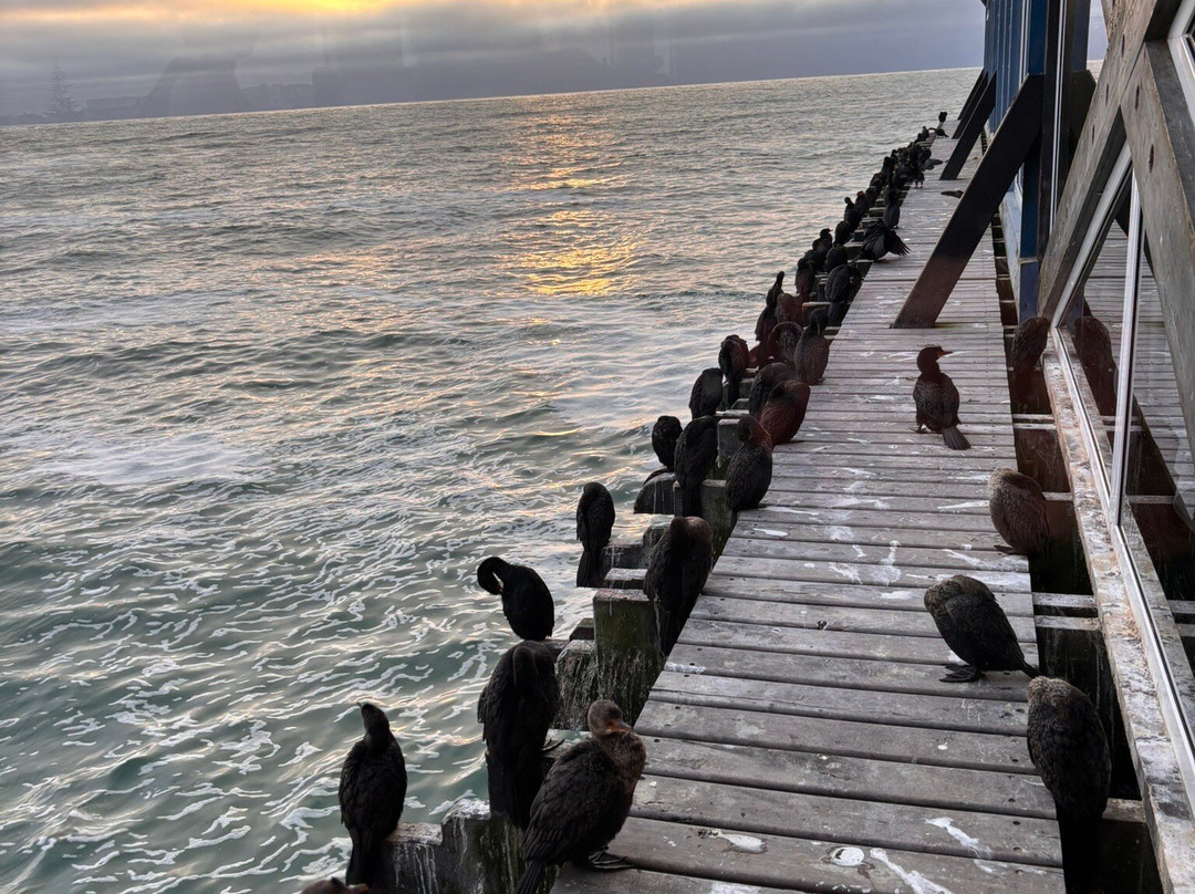 EverseenAfrica-霍德斯普鲁特必去景点