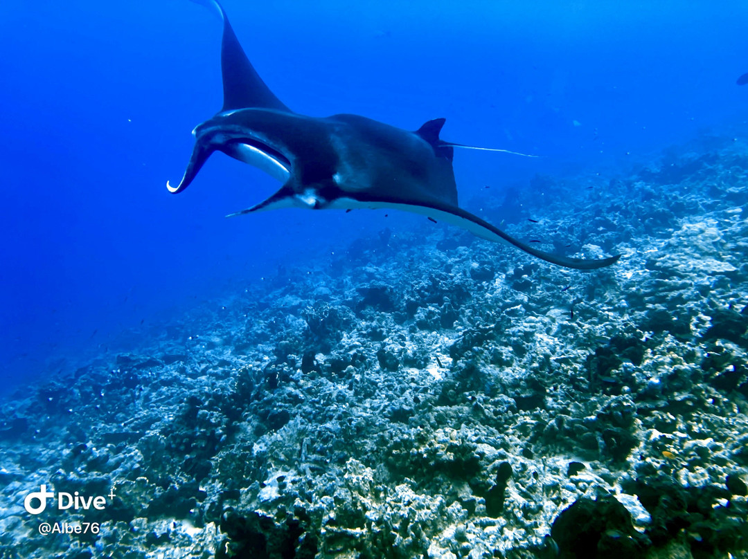 TOPDIVE Fakarava-Fakarava必去景点