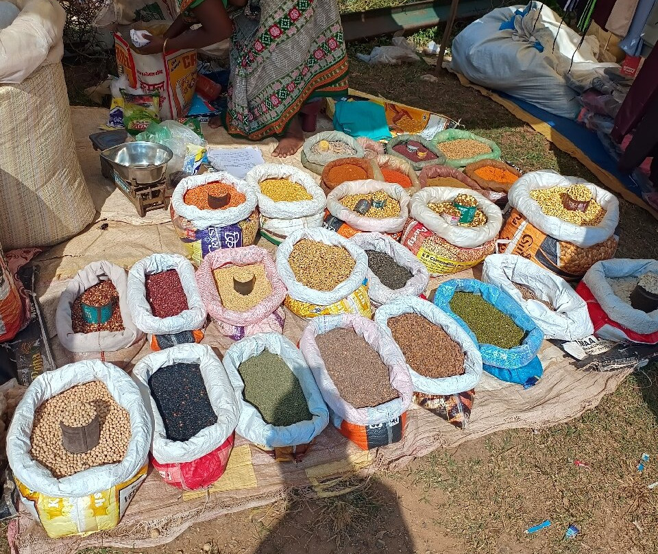 Alternative Tours-布巴内斯瓦尔必去景点