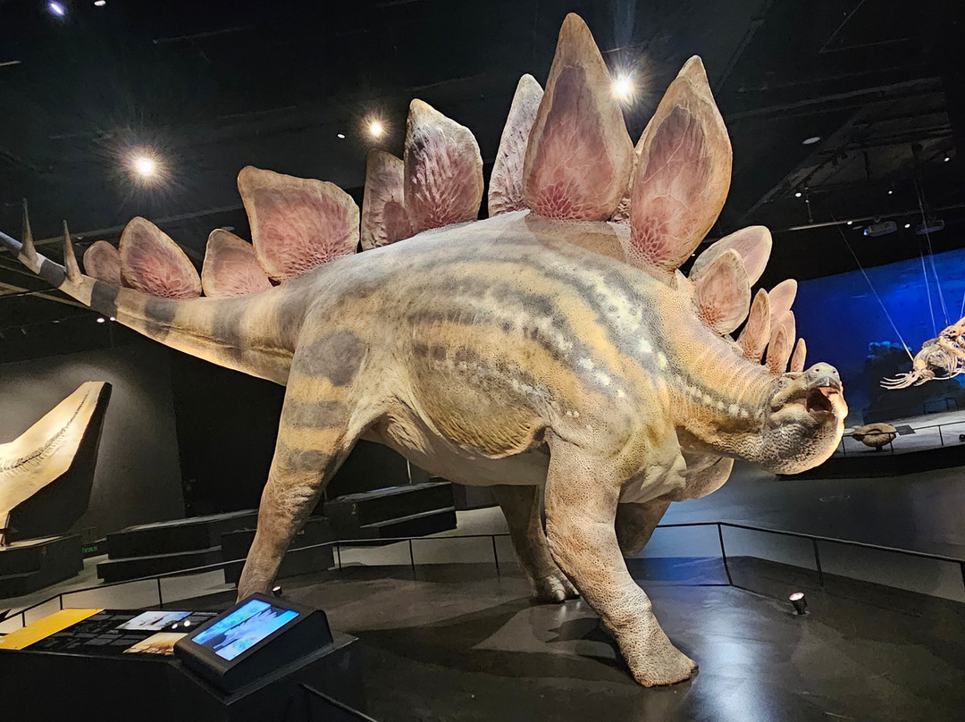 Dinosauria Museum Prague-Tuchomerice必去景点