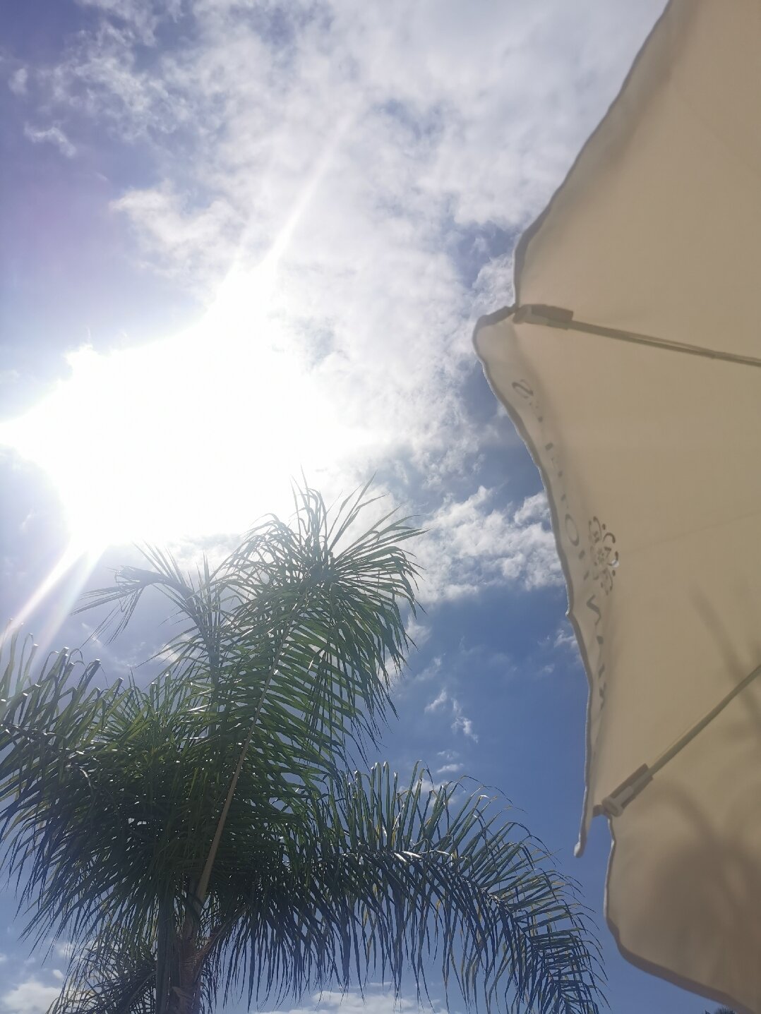 Hotel Colon Guanahani - Adrian Hoteles-官方