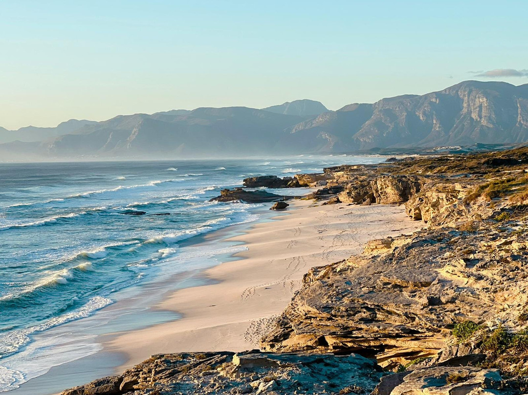 Walker Bay Nature Reserve-赫曼努斯必去景点