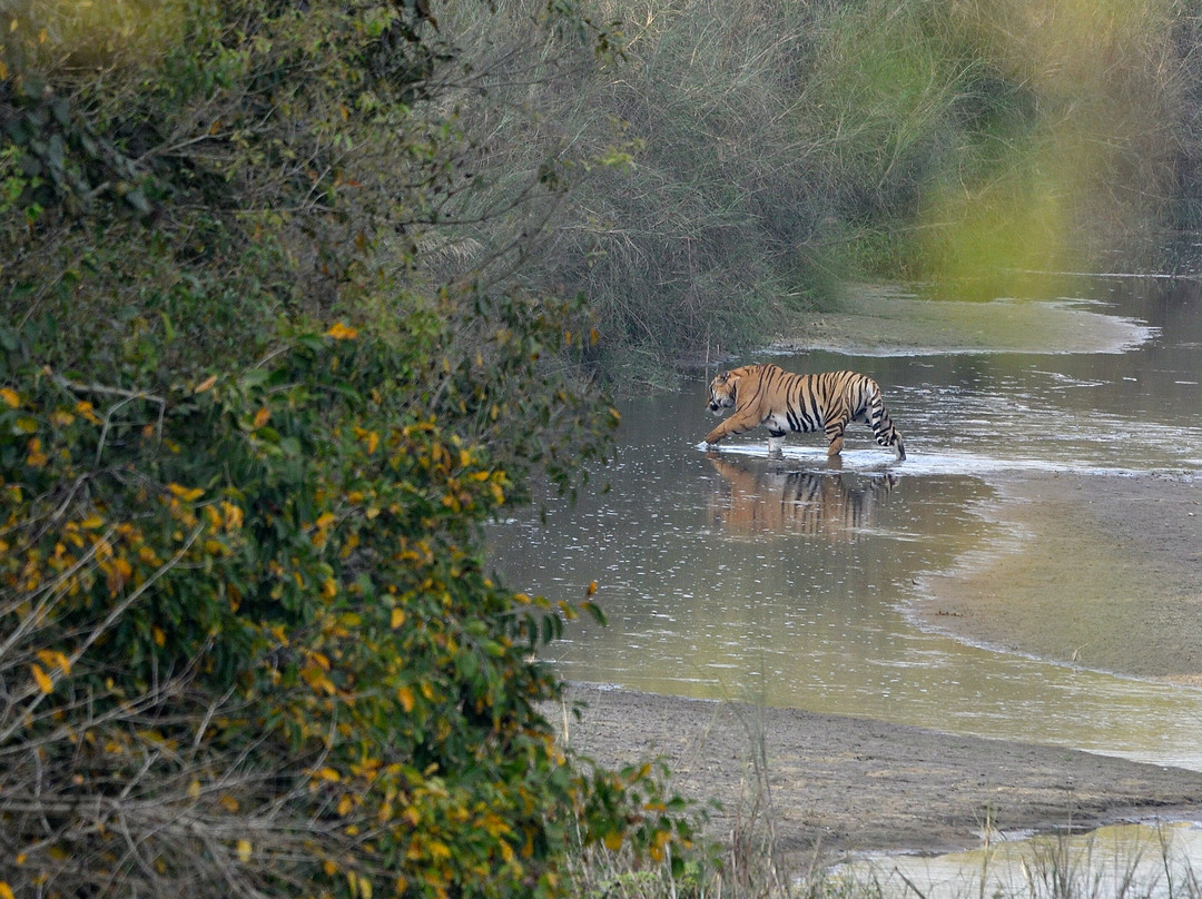Adventure Safari & Trek-Thakurdwara必去景点