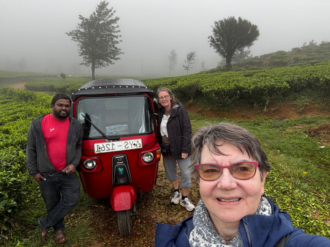 Ds Kumar Tuktuk Sightseeing In Nuwara Eliya-奴娃拉伊利雅必去景点