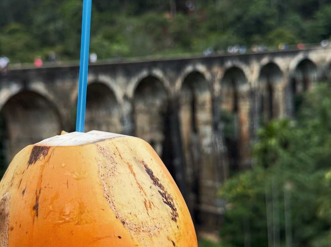 Ranmini Tours Sri Lanka-Udugampola必去景点