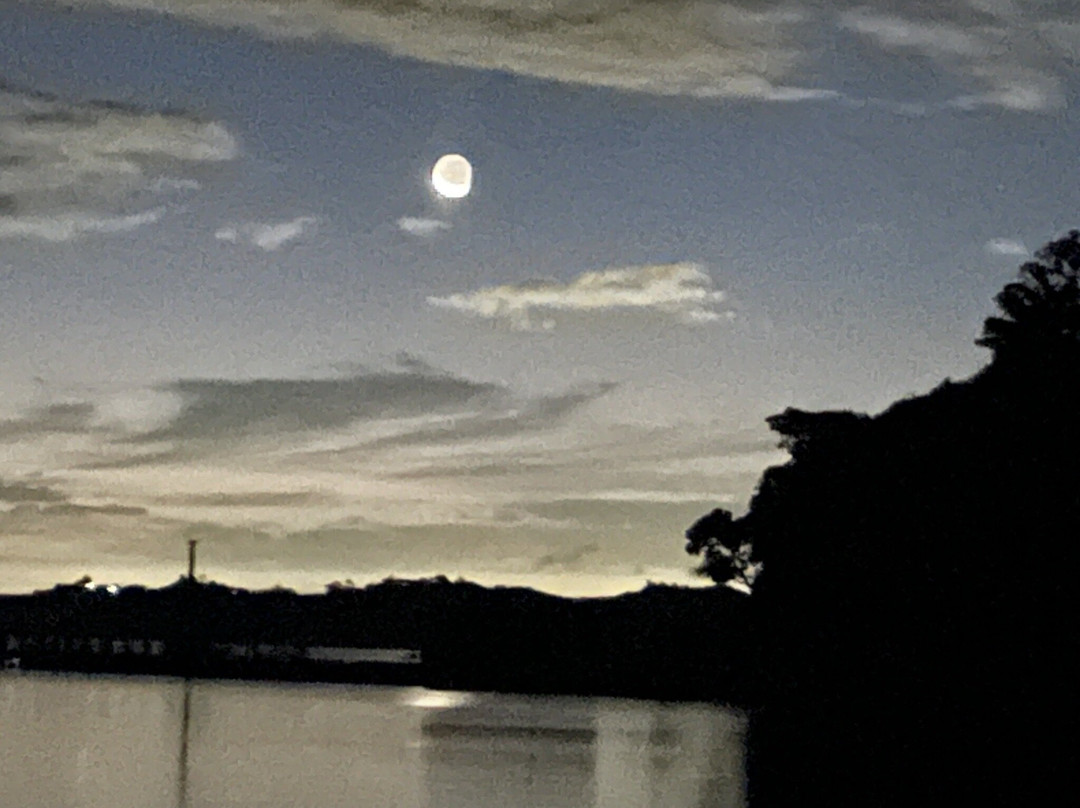 Rotoroa Island-奥克兰必去景点