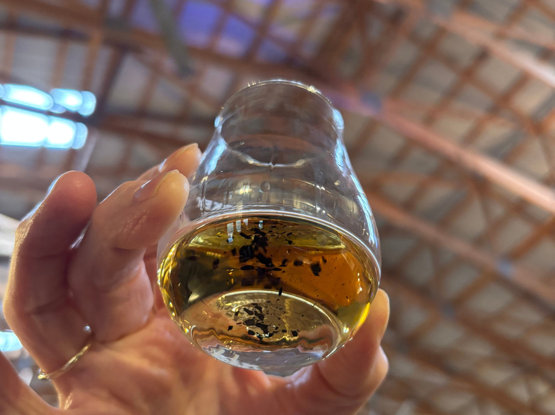 Whiskey Thief Distilling Co.-法兰克福必去景点