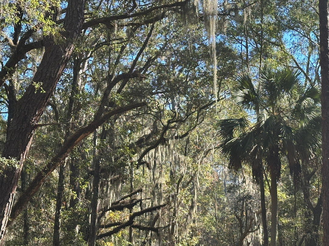 Victoria Bluff Heritage Preserve-布拉夫顿必去景点