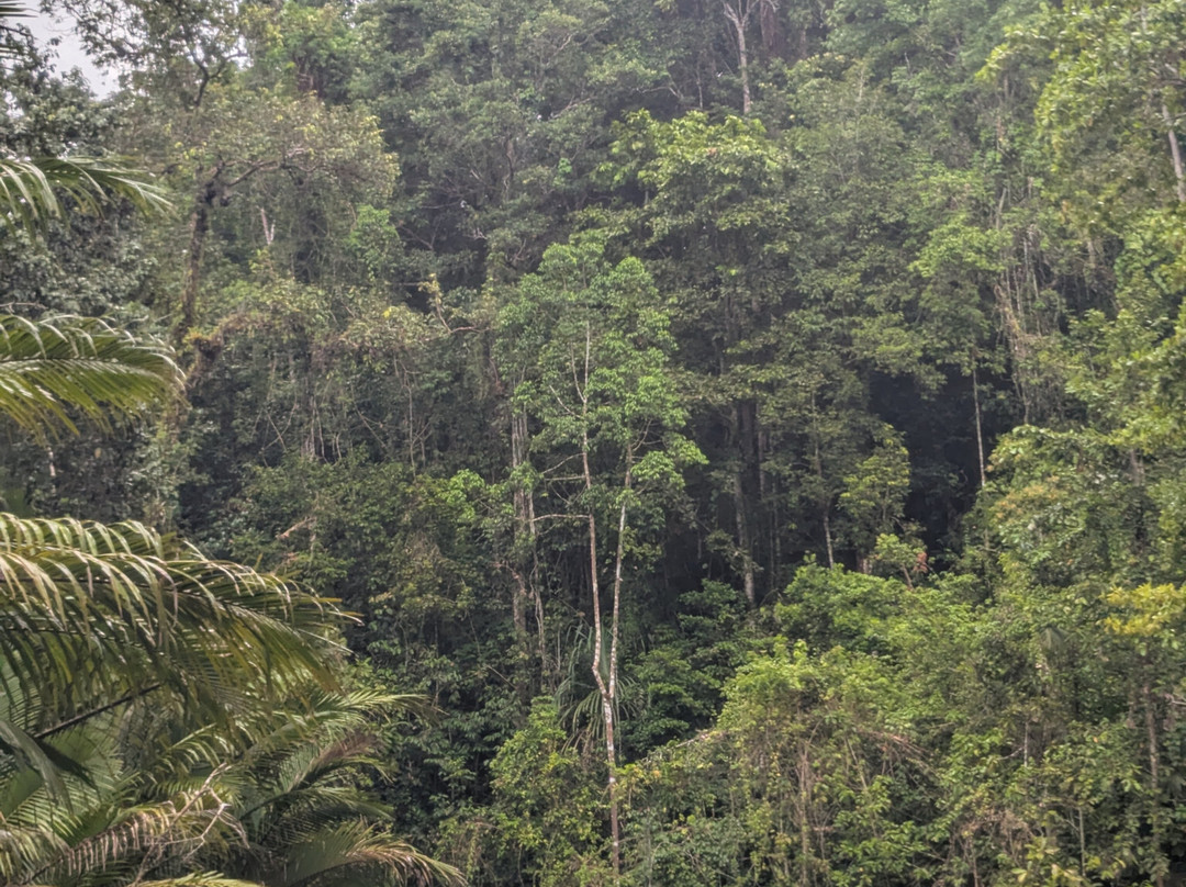 Millekul Adventures-索龙必去景点