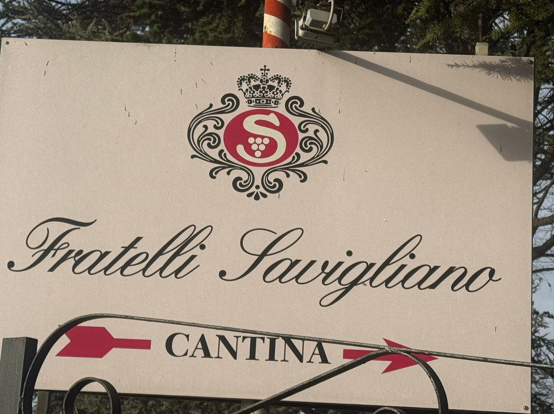 Azienda Agricola Fratelli Savigliano-Valle Talloria必去景点