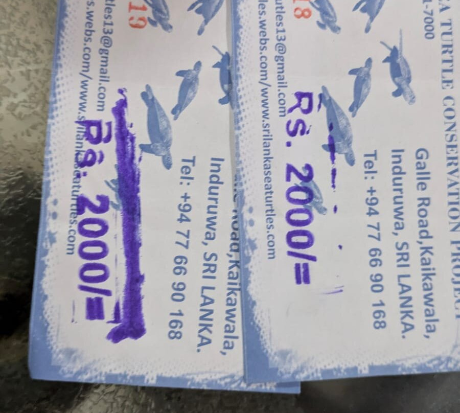 Induruwa Sea Turtle Conservation Project & Sea Turtle Information Center-因都鲁瓦必去景点