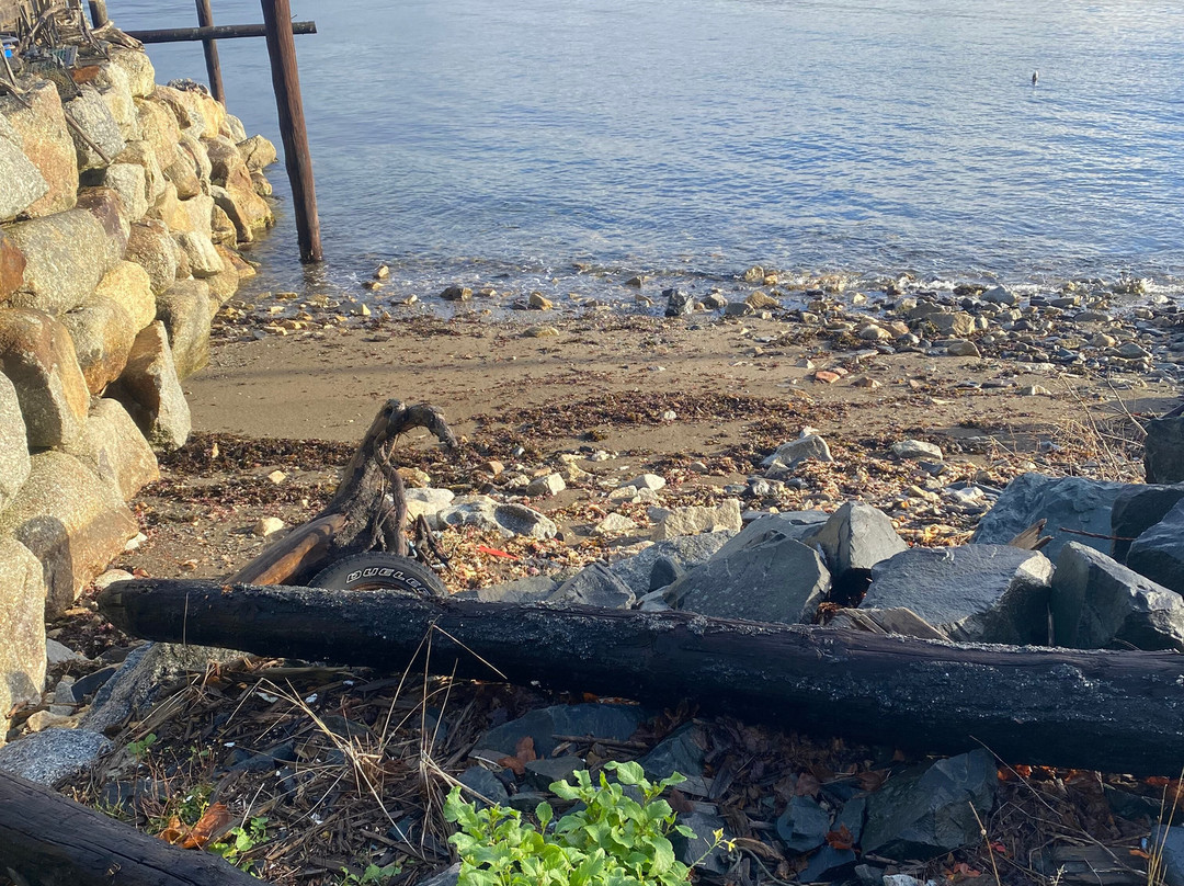 望海住宿加早餐旅馆主图