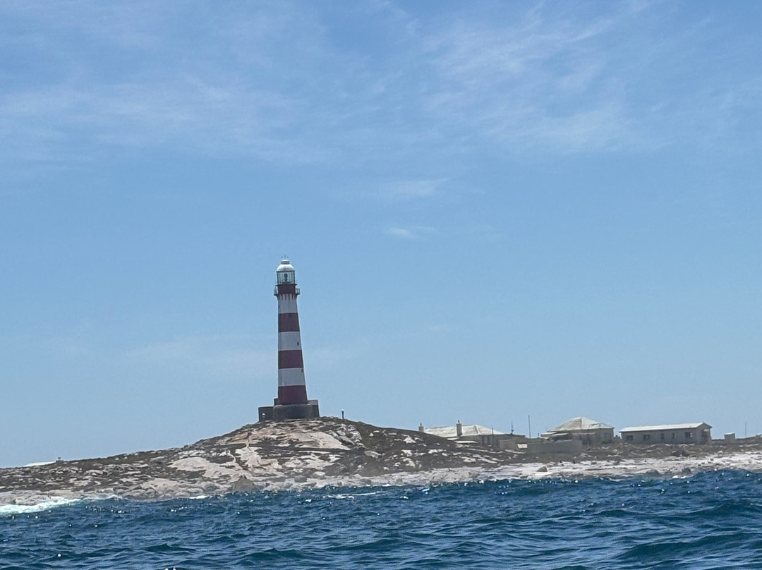 Cape Coast Expeditions-Yzerfontein必去景点