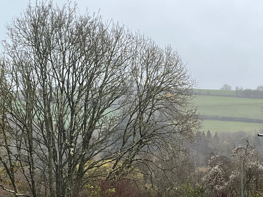 The Dartmoor Lodge主图