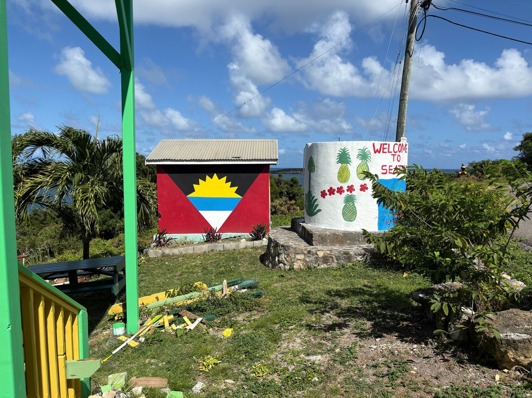 Antigua Rainforest Canopy Tour-安提瓜必去景点