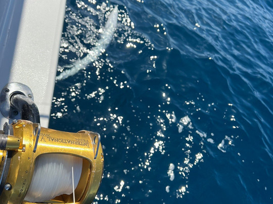 Simply Caught Charters-吕康必去景点