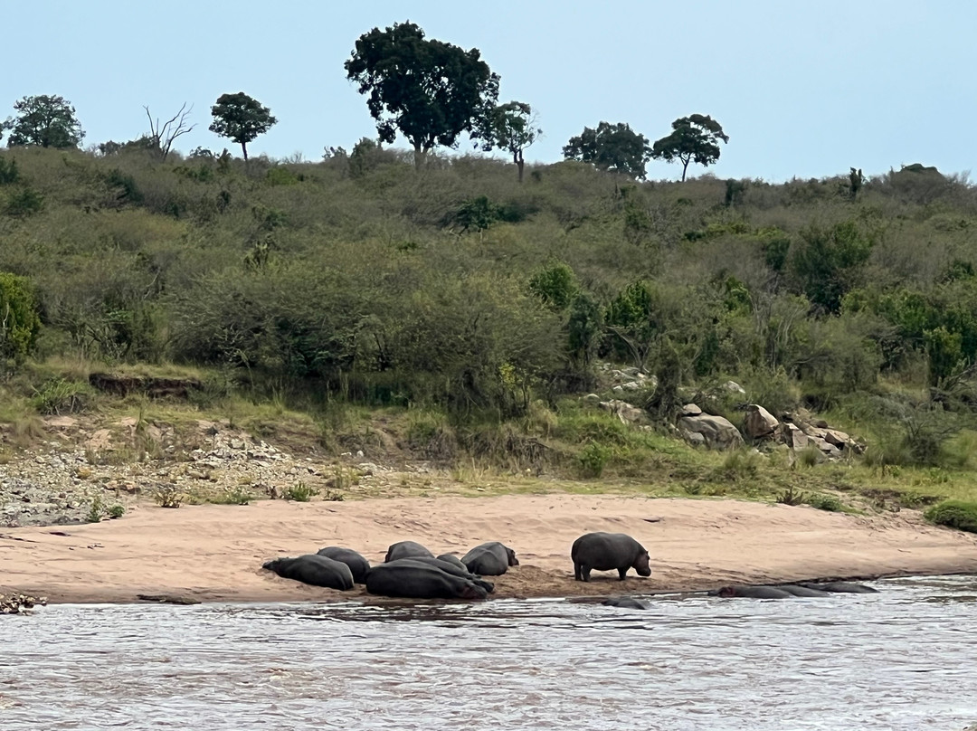 La Toupie Voyageuse-里昂必去景点