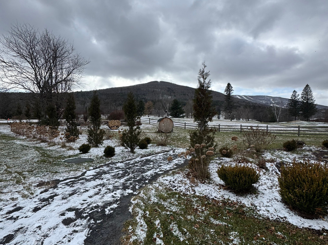 Wylder Windham主图