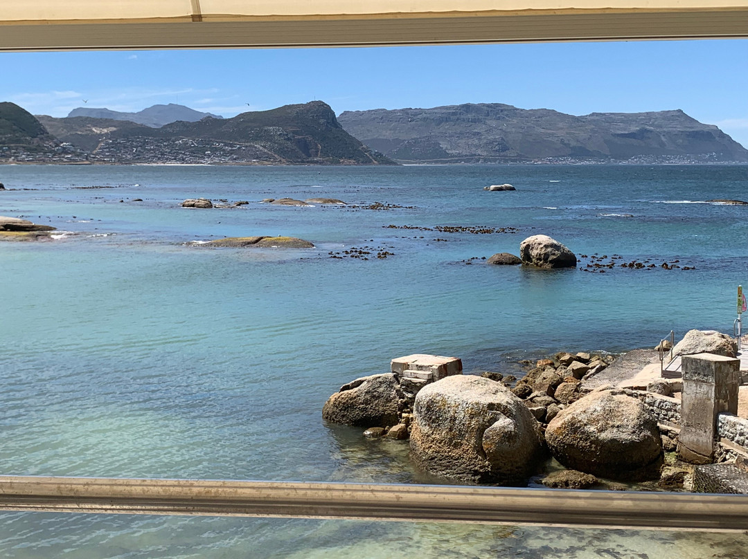 Explore the Cape Tours & Safaris-开普敦中心区必去景点