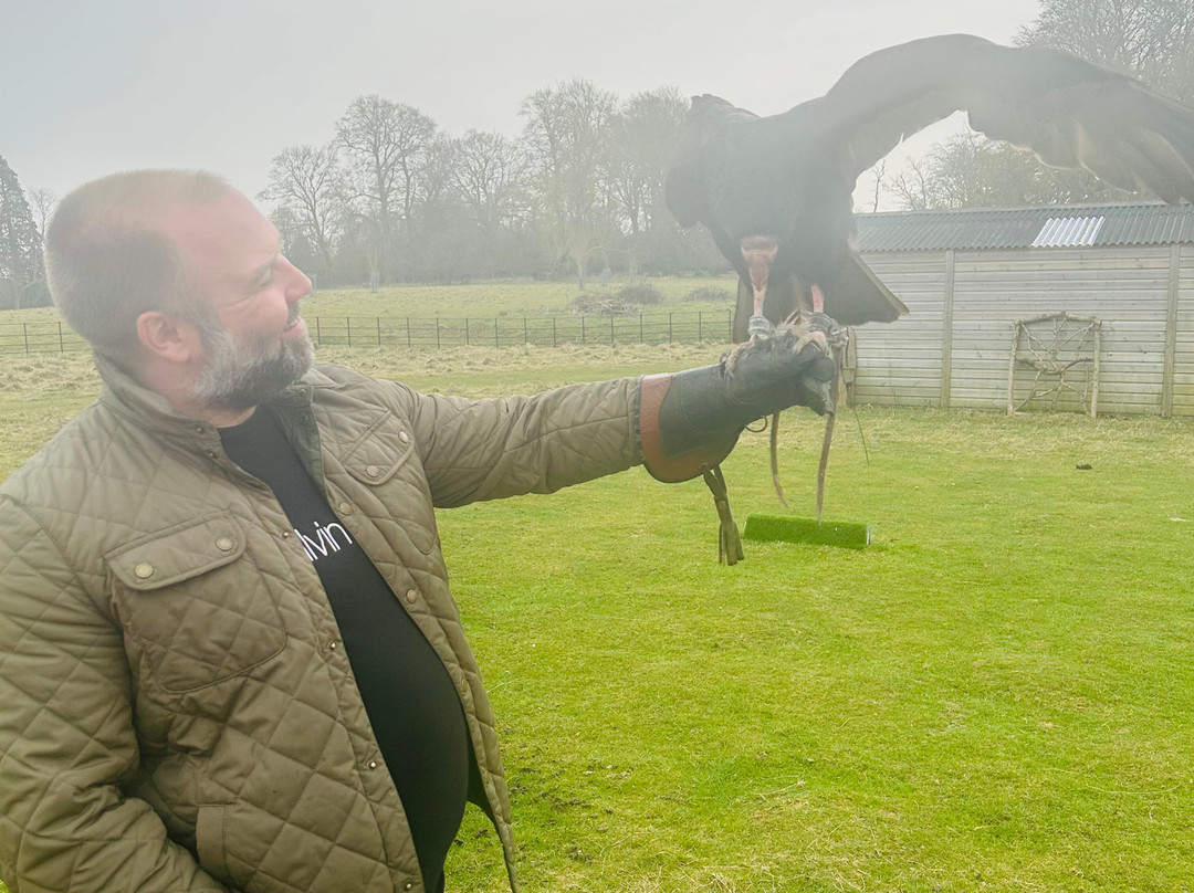 Joe's Bows-Faversham必去景点