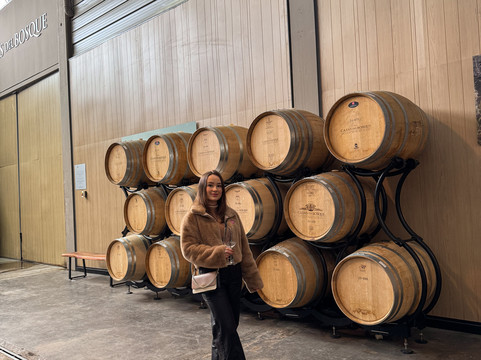 Chile Experience-圣地亚哥必去景点