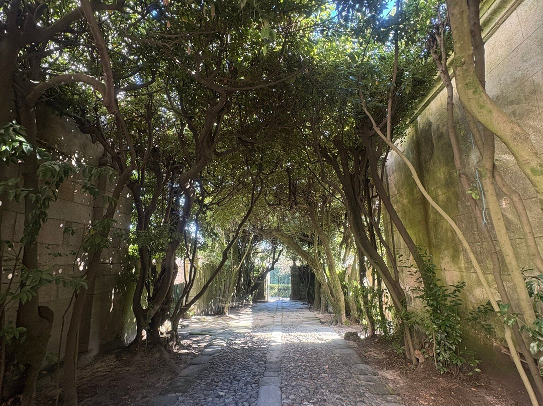Palacio dos Condes de Anadia-Mangualde必去景点