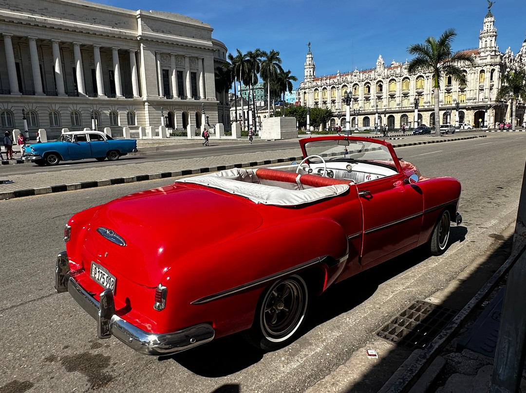 Havacubvision-巴拉德罗必去景点